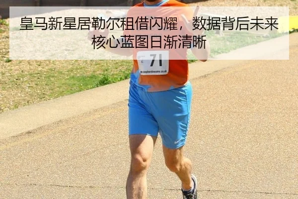 huang-ma-xin-xing-ju-lei-er-zu-jie-shan-yao-shu-ju-bei-hou-wei-lai-he-xin-lan-tu-ri-jian-qing-xi-3-745.jpg