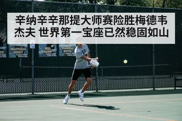 辛纳辛辛那提大师赛险胜梅德韦杰夫 世界第一宝座已然稳固如山