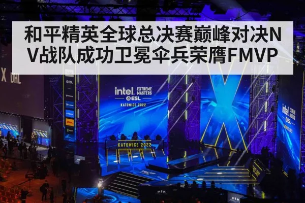 和平精英全球总决赛巅峰对决NV战队成功卫冕伞兵荣膺FMVP